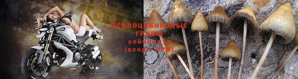 крисы Нефтегорск